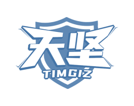 天坚 TIMGIZ