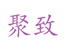 聚致 第09类科学仪器商标转让 注册号44297876