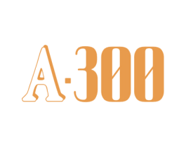 A·300