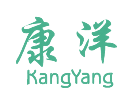 康洋
