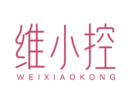 维小控