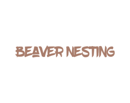 BEAVER NESTING