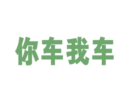 你车我车