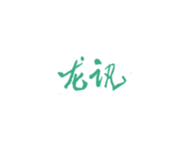 龙讯