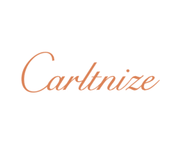 CARLTNIZE 第18类皮革箱包商标转让 注册号57412025