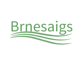 BRNESAIGS