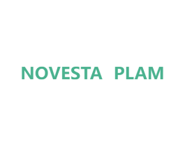NOVESTA PLAM 第25类服装鞋帽商标转让 注册号67188031