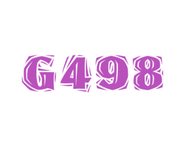 G498 第25类服装鞋帽商标转让 注册号66706602