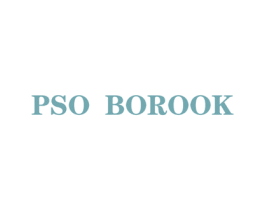 PSO BOROOK 第25类服装鞋帽商标转让 注册号65750683