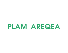 PLAM AREQEA 第25类服装鞋帽商标转让 注册号66006141
