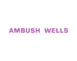 AMBUSH WELLS