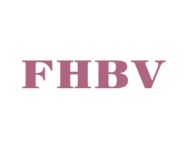 FHBV 第25类服装鞋帽商标转让 注册号49378437