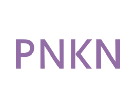 PNKN 第25类服装鞋帽商标转让 注册号43299182