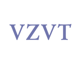 VZVT 第25类服装鞋帽商标转让 注册号42877256