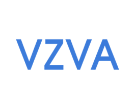 VZVA 第25类服装鞋帽商标转让 注册号42891903