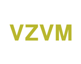 VZVM 第25类服装鞋帽商标转让 注册号42858025