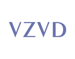 VZVD 第25类服装鞋帽商标转让 注册号42840245