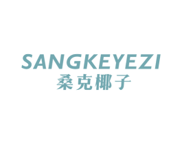 桑克椰子 第25类服装鞋帽商标转让 注册号45054037