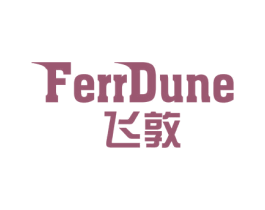 FERRDUNE 飞敦 第25类服装鞋帽商标转让 注册号70326071