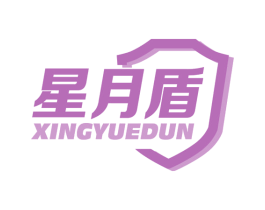 星月盾