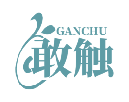 敢触 第05类医药商标转让 注册号70857607