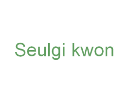 SEULGI KWON