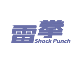 雷拳 SHOCK PUNCH