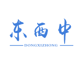 东西中