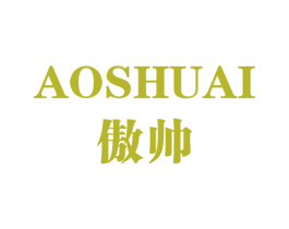 傲帅 第09类科学仪器商标转让 注册号16229882