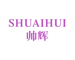 帅辉 第09类科学仪器商标转让 注册号15934377