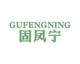 固凤宁
