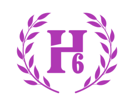 H6 第25类服装鞋帽商标转让 注册号69125143