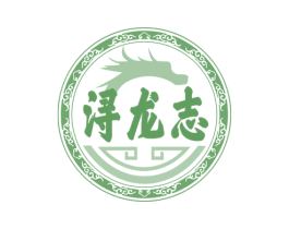 浔龙志