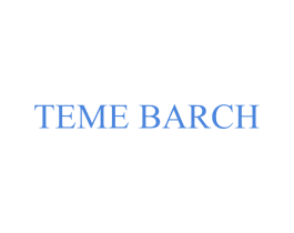TEME BARCH