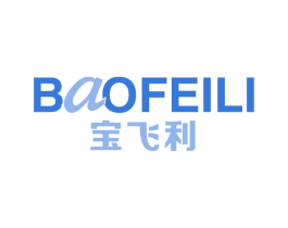 宝飞利
