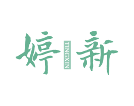 婷新 第10类医疗器械商标转让 注册号67901481