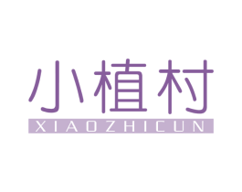 小植村 第03类化妆品商标转让 注册号66463222