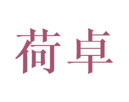 荷卓 第25类服装鞋帽商标转让 注册号41822132