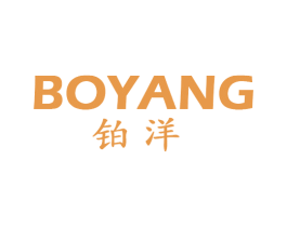 铂洋