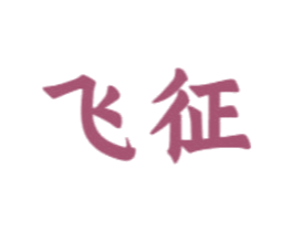 飞征