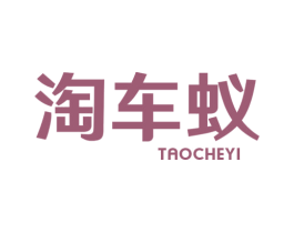 淘车蚁