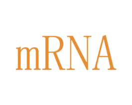 MRNA 第25类服装鞋帽商标转让 注册号44736577