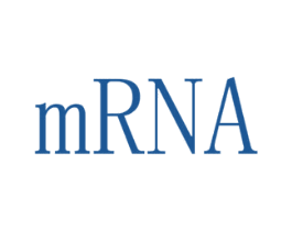 MRNA