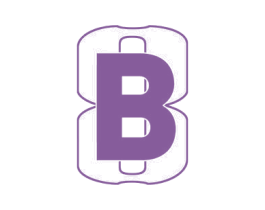 B 8