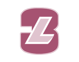 3L