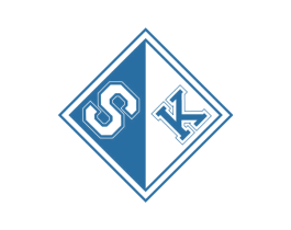SK 第25类服装鞋帽商标转让 注册号58146859