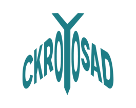 CKROYOSAD 第25类服装鞋帽商标转让 注册号45013703