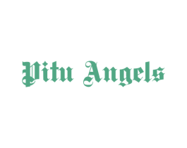 PITU ANGELS 第25类服装鞋帽商标转让 注册号40014262