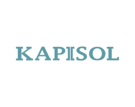 KAPISOL 第25类服装鞋帽商标转让 注册号40703245