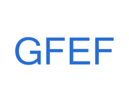GFEF 第25类服装鞋帽商标转让 注册号41663693